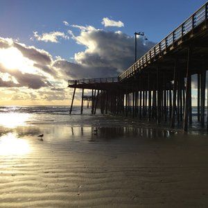 Meet your Posher, Tamara